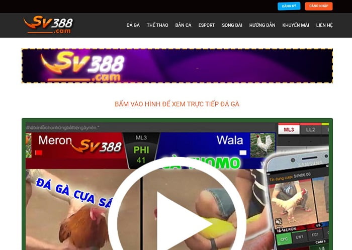 Đánh giá trải nghiệm cá cược 77Win - 77Win