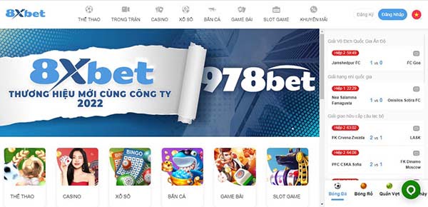 Những giải đấu nào cung cấp tỷ lệ cá cược bóng đá cấp độ F8bet? - F8bet