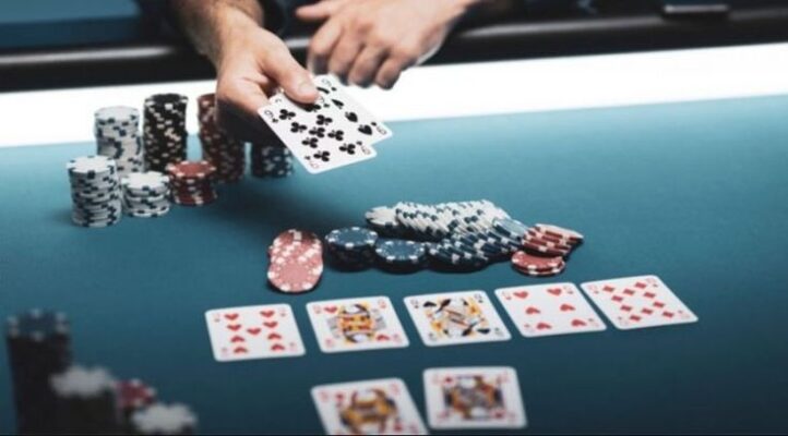 Sản phẩm này có thể được mua trên các trang web trò chơi giải trí được xếp hạng Zalv - Zalv
