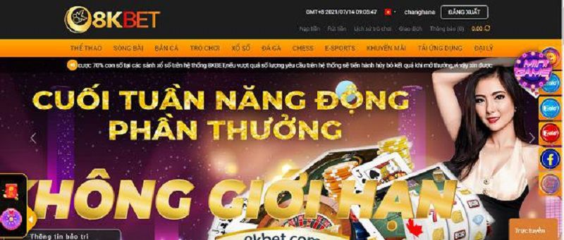 Các tùy chọn hỗ trợ khách hàng 11Vn - 11Vn