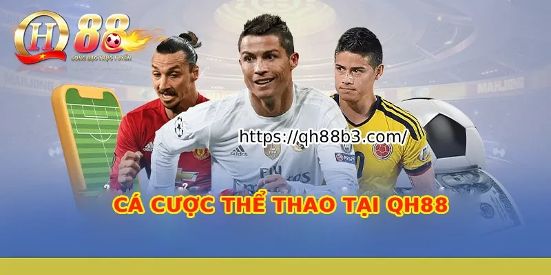 Thông tin liên hệ của Vnq8 - Vnq8