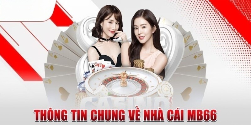 Hướng dẫn cá cược chấp châu Á: Giúp bạn thắng lớn tại các giải đấu cấp Abcvip - Abcvip