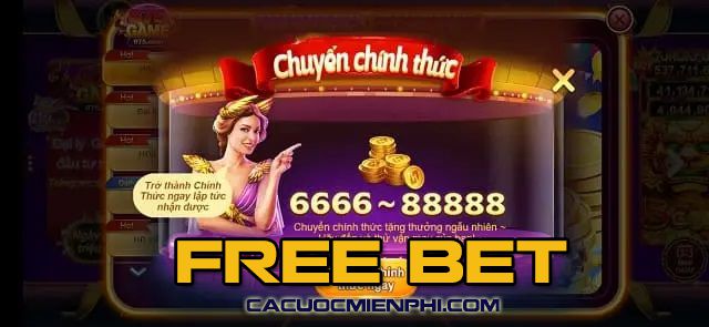 Phần thưởng nền tảng Kimsa - Kimsa