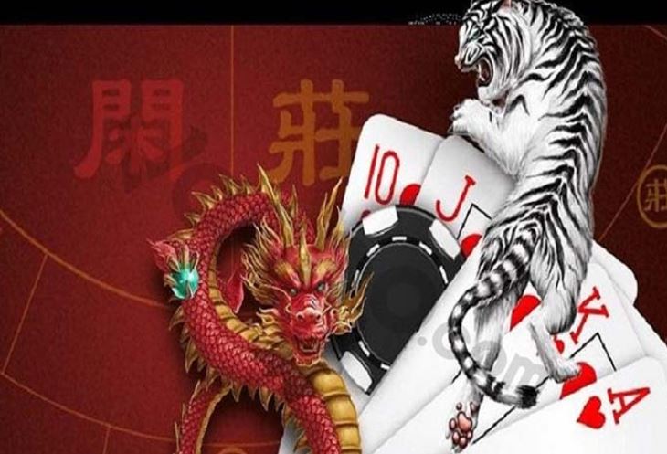 Thành viên trang web Open88 Games - Open88