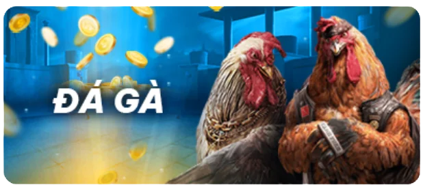 Gg8 có một số hoạt động quảng bá khá thú vị - Gg8
