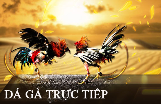 Hãy truy cập trang web chính thức của Va88 - Va88