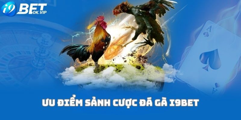 Các sự kiện thể thao cấp Typhu88 tràn đầy sức sống - Typhu88