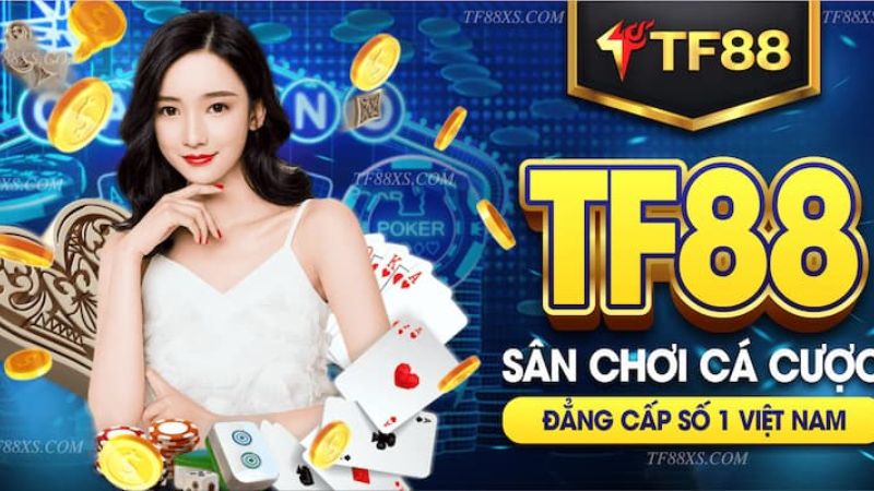 Xổ số K8vn – Giấc mơ không bao giờ phai tàn - K8vn
