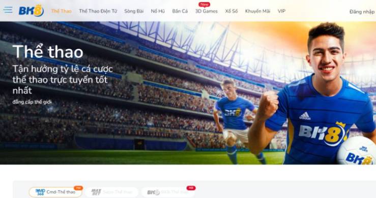 Giấy phép nền tảng 23Vip - 23Vip