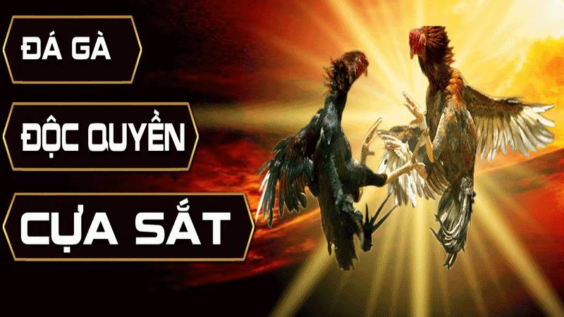 Những điều bạn cần biết khi tham gia nền tảng game 100Bet - 100Bet