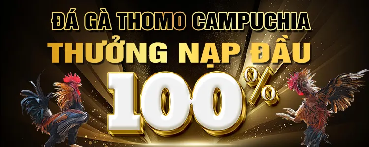 Khám phá những ưu đãi tuyệt vời trên 2Q Online - 2Q