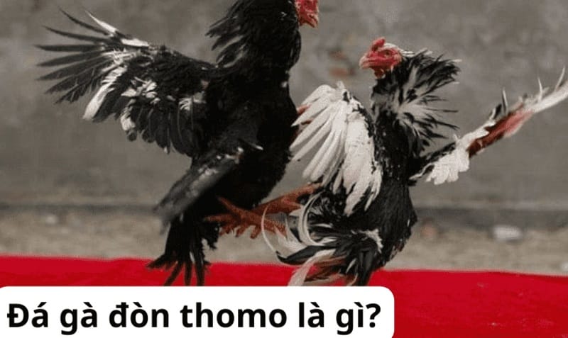 Công ty game đạt chuẩn G168 phản hồi về cáo buộc gian lận - G168